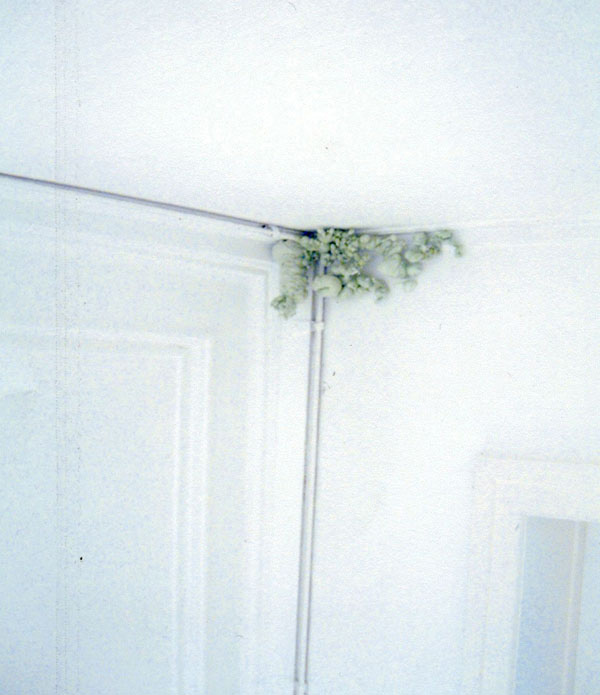 Ebba Bring / Astrid Nondal