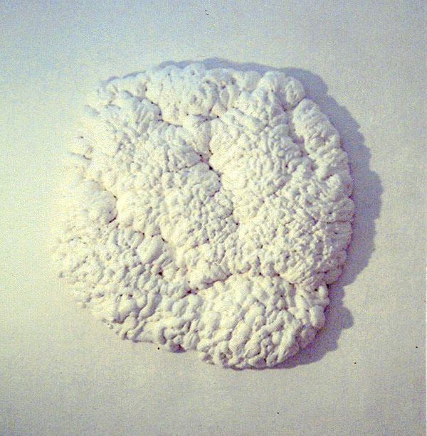 Ebba Bring / Astrid Nondal