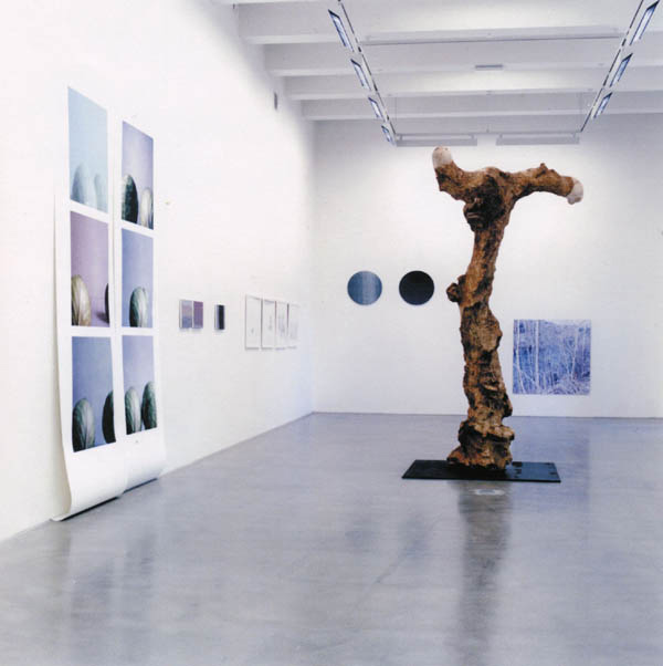 Galleri Trafo/ Ebba Bring/M. Bergman/IL Langedok