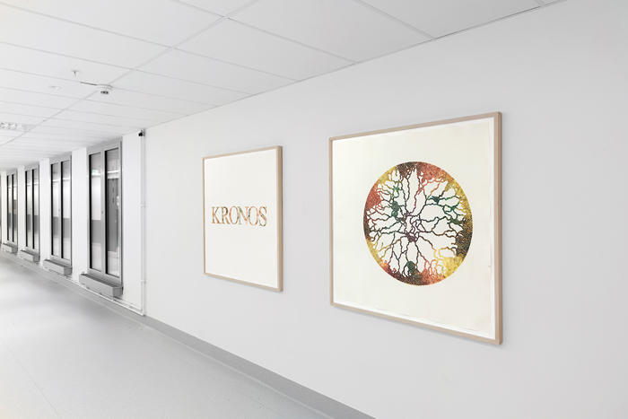 Ebba Bring, Public commission Huddinge Karolinska Universitetssjukhuset