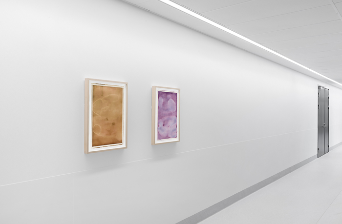 Ebba Bring, Public commission Huddinge Karolinska Universitetssjukhuset