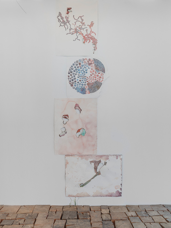 Ebba Bring, "The Collaborative Curating Project", Rake Visningsrom Trondheim 2016 